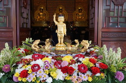 22 Mei 2018 浴佛節 Hari Kelahiran Buddha Sakyamuni.